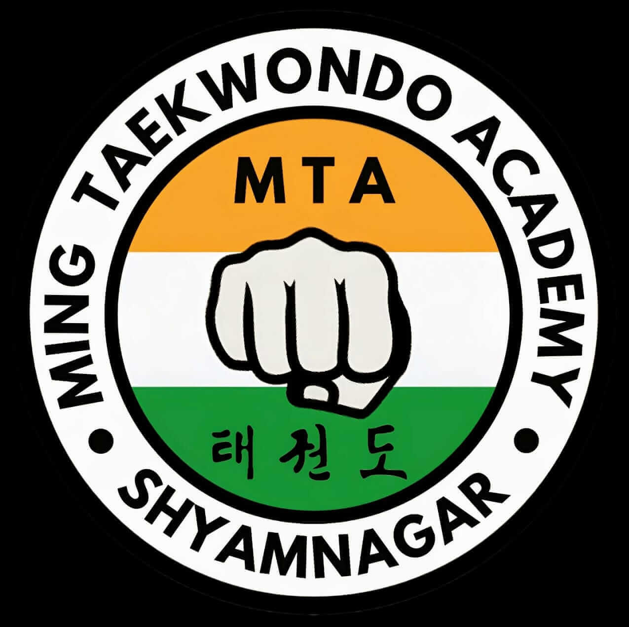 Ming Ticondo Academy